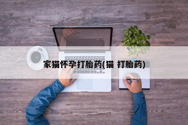 米非米索网上私人药店微信家猫怀孕打胎药(猫 打胎药)