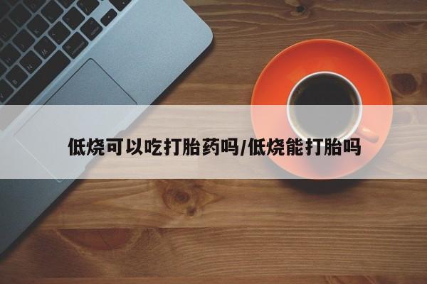 米非米索网上私人药店微信低烧可以吃打胎药吗/低烧能打胎吗
